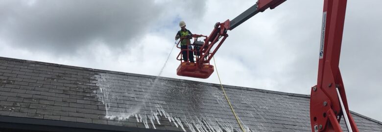 Cleaning Service