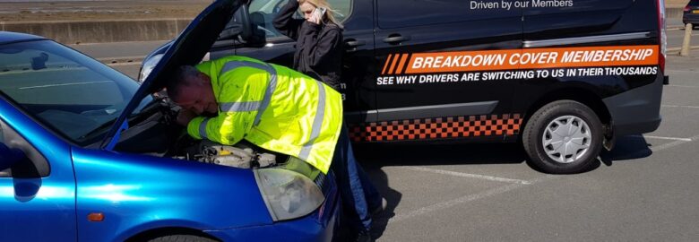Driver Guardian