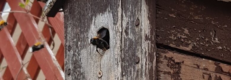 E H S Pest Shield
