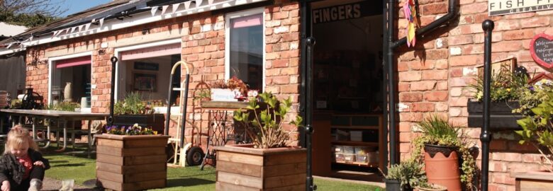 Fish Fingers – Creative Clay