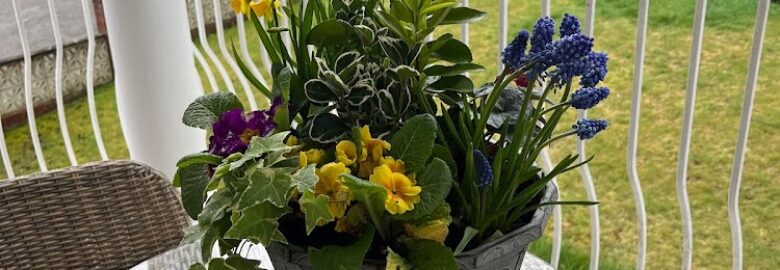 Highpark Nursery