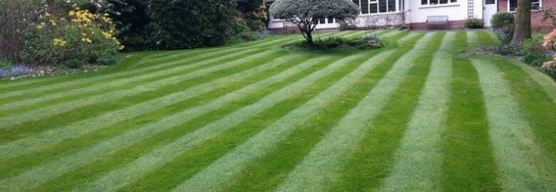 Jmm Garden Services