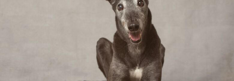 Jo Rutherford Photography