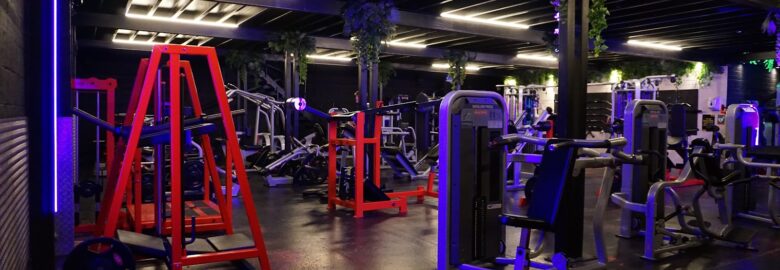 Level Up Gym