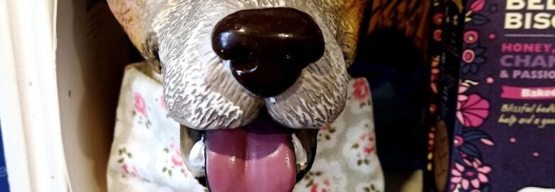 Pet Care and dog Grooming