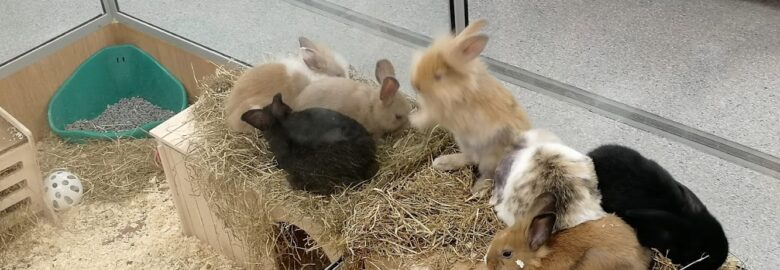 Pets At Home