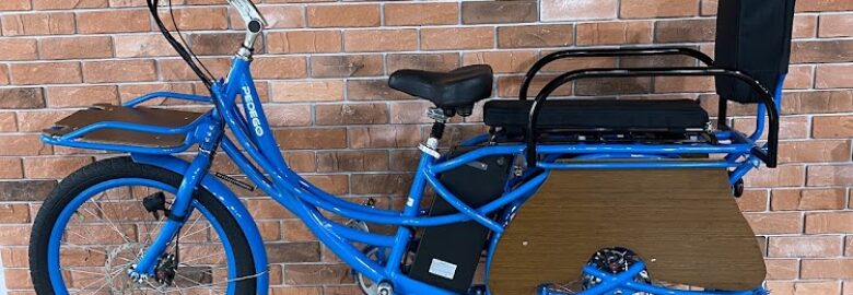 Powerstation Electric Bikes