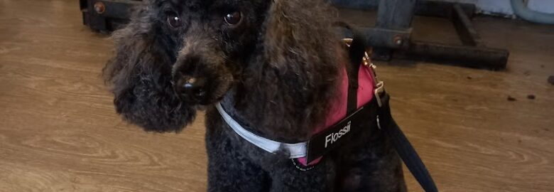 Pretty Paws Dog Grooming