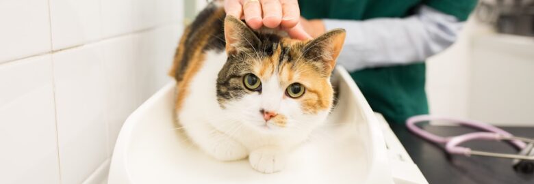 Rufford Veterinary Group