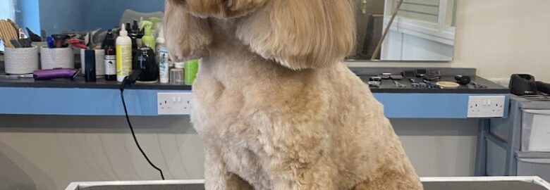 Southpaws Dog Grooming