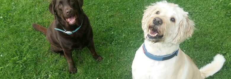 Southport Dogwalker