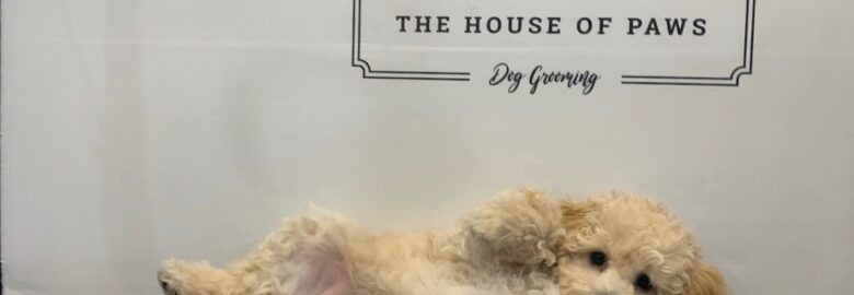 The House Of Paws