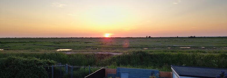 The Marshes