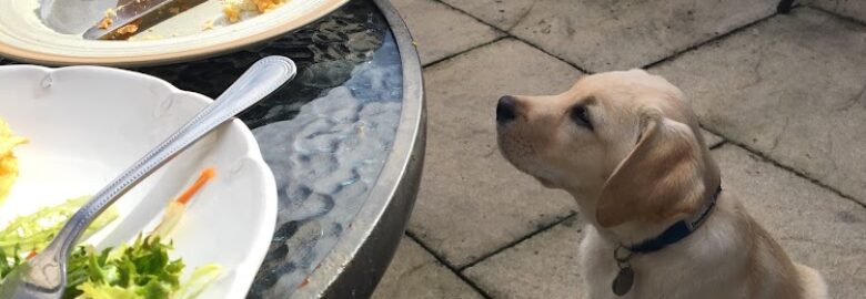 The Wagging Tail Cafe