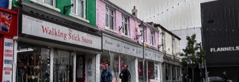 The Walking Stick Store