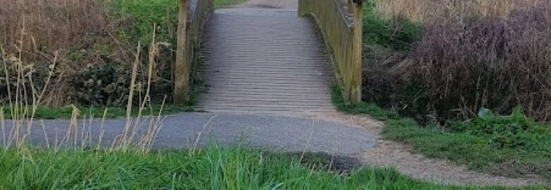 Town Lane Forestry Commission