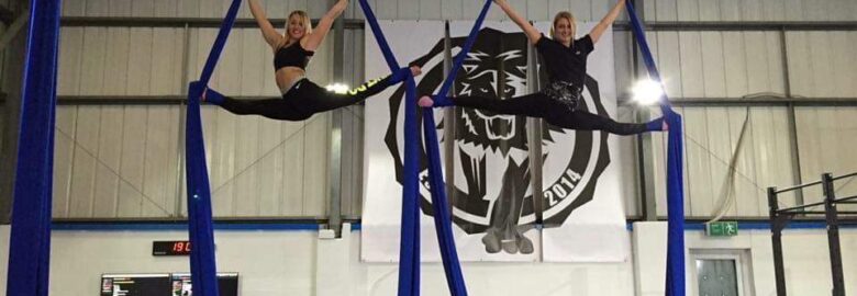 Vertigo Aerial Arts