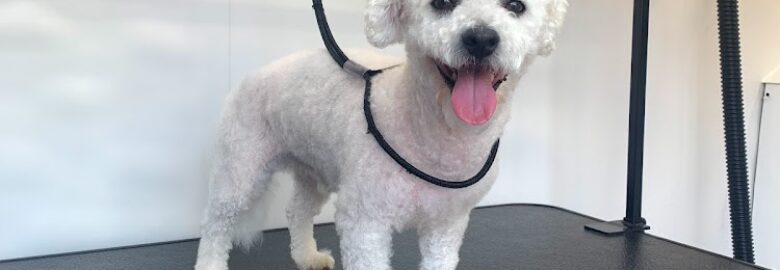 Wagging Wheels Mobile Dog Grooming