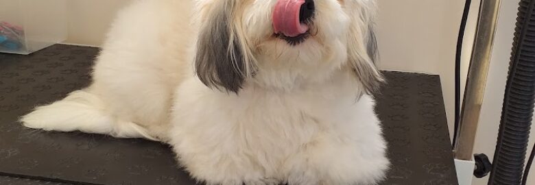 scarisbrick dog grooming